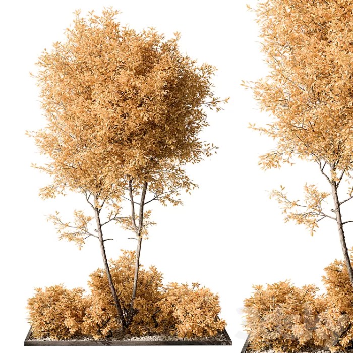 Best plants for 3D garden design