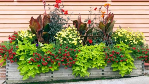 Designing a garden with limited space ideas