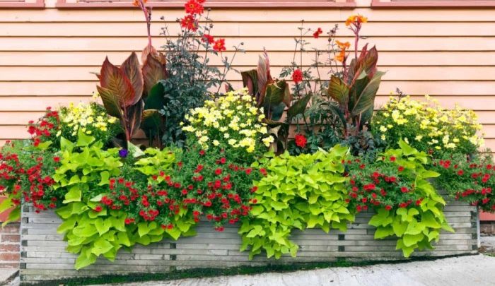 Designing a garden with limited space ideas